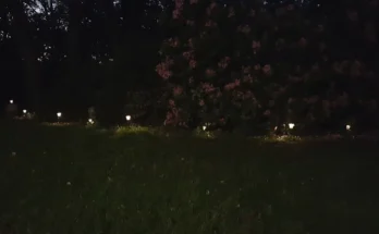 Garden lights | Source: Flickr.com/Garden lights" (CC BY-SA 2.0) by Tim Evanson