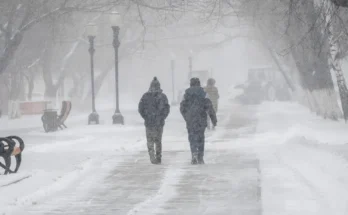 Two people working in the snow | Source: Shutterstock