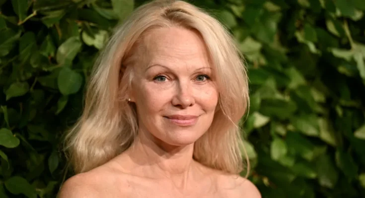 Pamela Anderson | Source: Getty Images