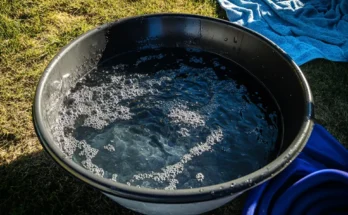 A basin filled with soapy water | Source: The Celebritist