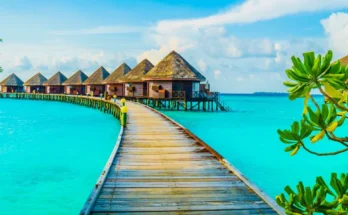 A beach resort | Source: Freepik