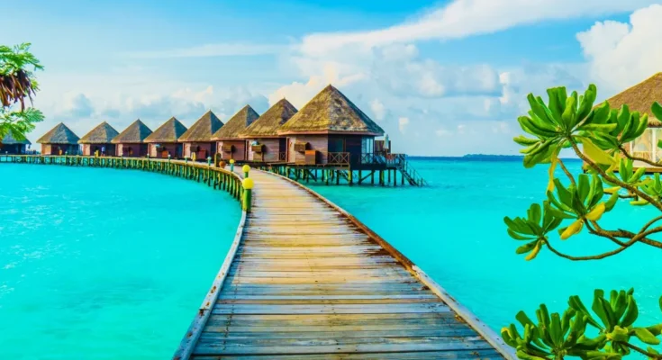 A beach resort | Source: Freepik