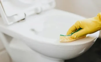 Janitor cleaning the toilet | Source: Pexels