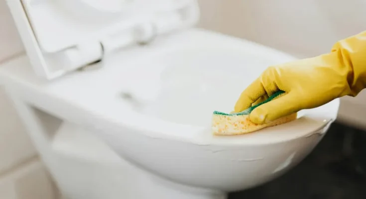 Janitor cleaning the toilet | Source: Pexels