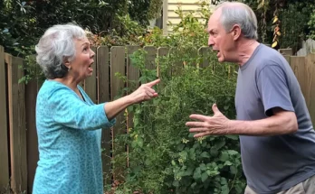 Elderly people argue. | Source: Midjourney