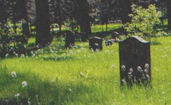 Headstones in a cemetery | Source: Shutterstock
