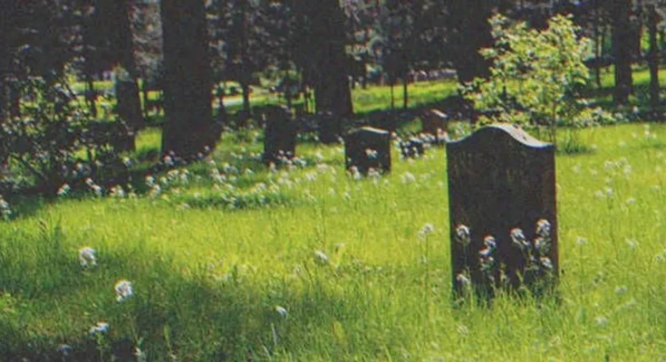 Headstones in a cemetery | Source: Shutterstock