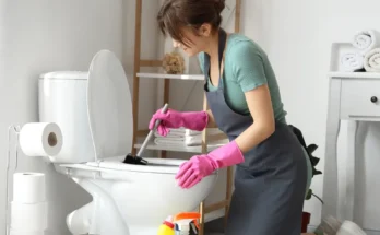 A woman cleaning a toilet | Source: Shutterstock