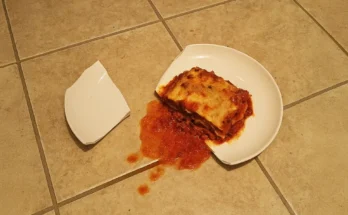 A broken plate lying on a tiled floor, with a serving of lasagna spilled and smeared beside it | Source: The Celebritist