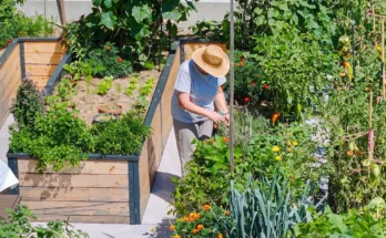 A woman working in a garden | Source: Shutterstock