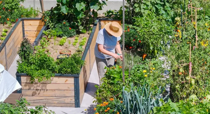 A woman working in a garden | Source: Shutterstock